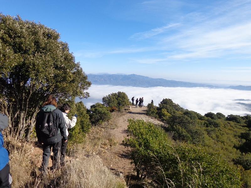 Tebaida de Montserrat