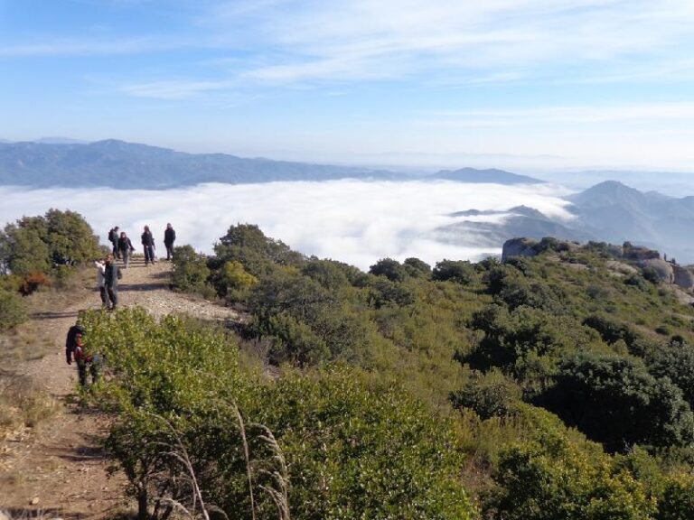 Tebaida de Montserrat