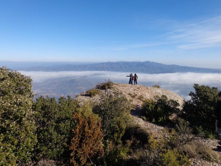 Tebaida de Montserrat