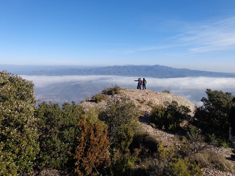 Tebaida de Montserrat