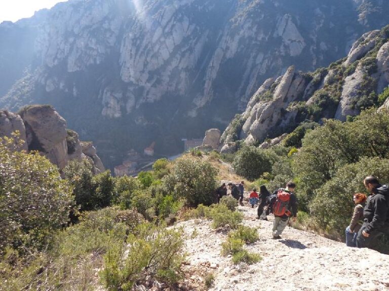 Tebaida de Montserrat