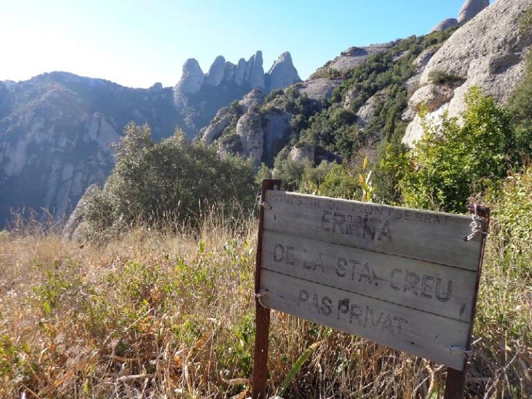 Tebaida de Montserrat