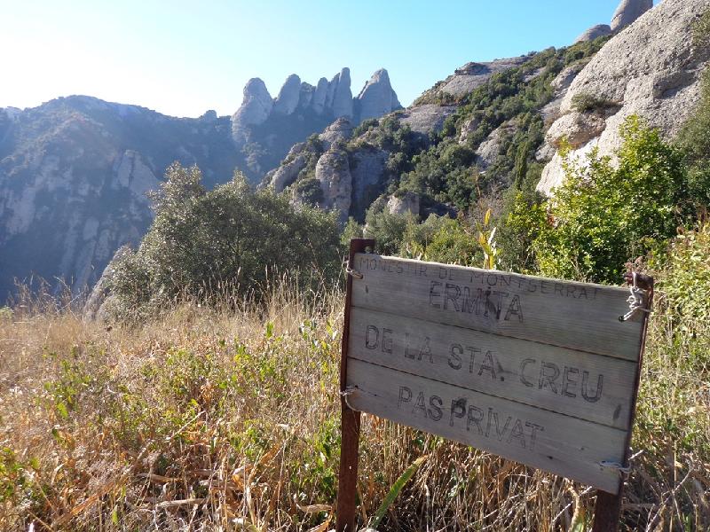 Tebaida de Montserrat
