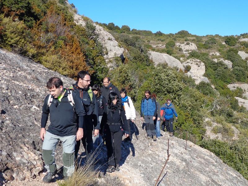 Tebaida de Montserrat