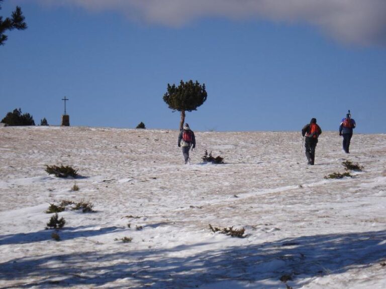 Arribant a la Creu de Meians