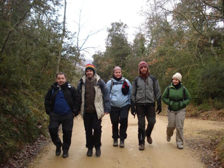 Cinc del set janets participants