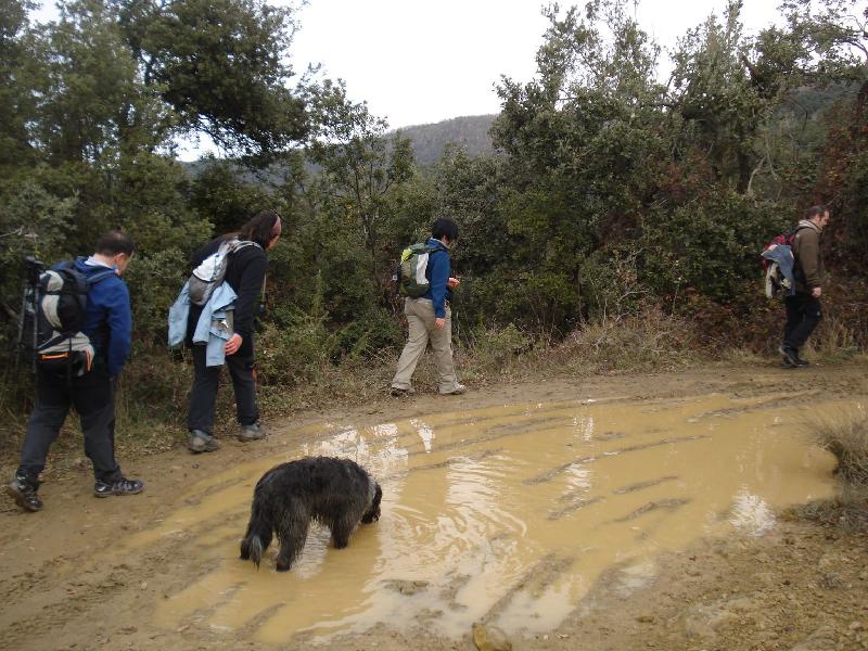 Uns esquiven l'aigua pero, altres no