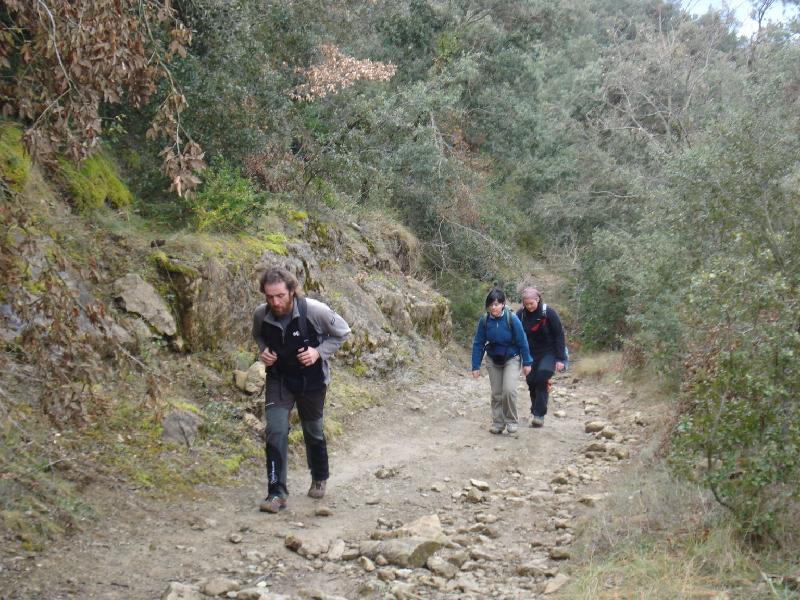 Pujant cap el Coll de la Serrella 2