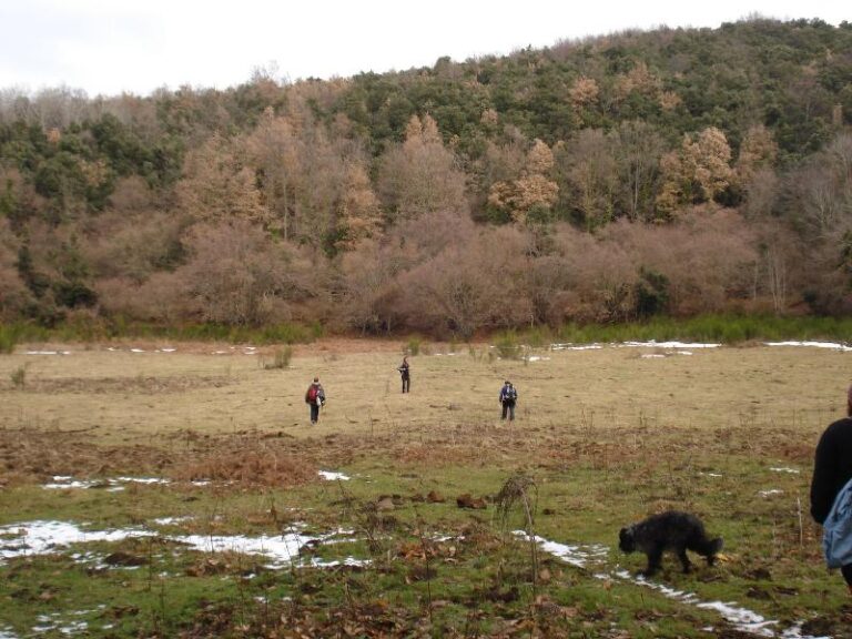 Arribant al Volc? Tia