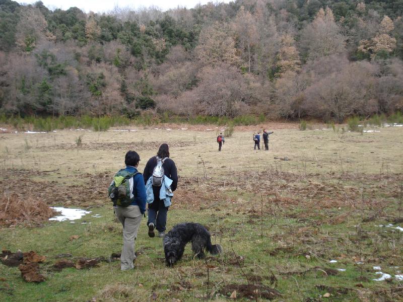 Arribant al Volca Tia