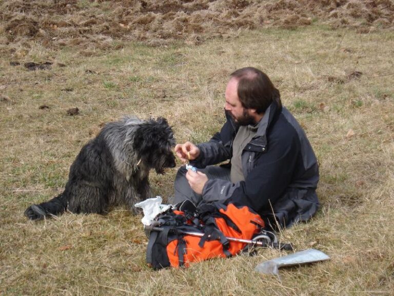 A la Morla, tambe li toca part del bocata