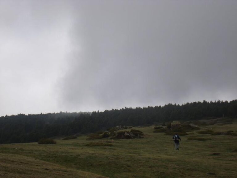 Els nuvol cada vegada mes amena??adors