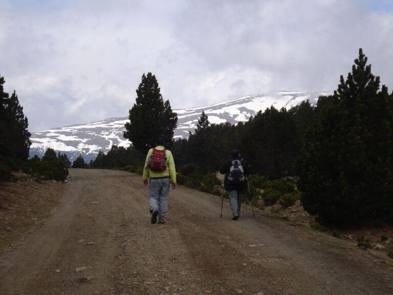 rimeres gotes d'aigua