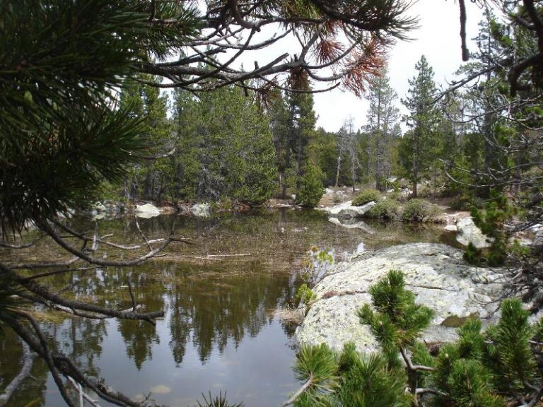 Estanys i... mes fotos