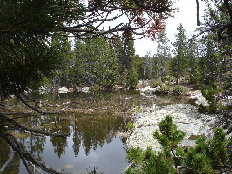 Estanys i... mes fotos