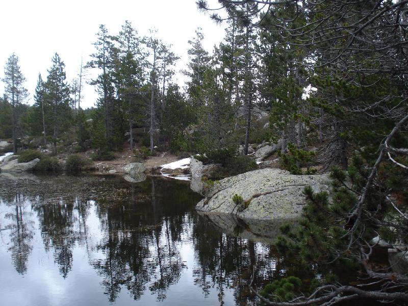 mes estanys i mes fotos