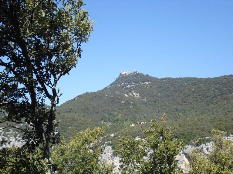 Objectiu: Mare de deu del Mont