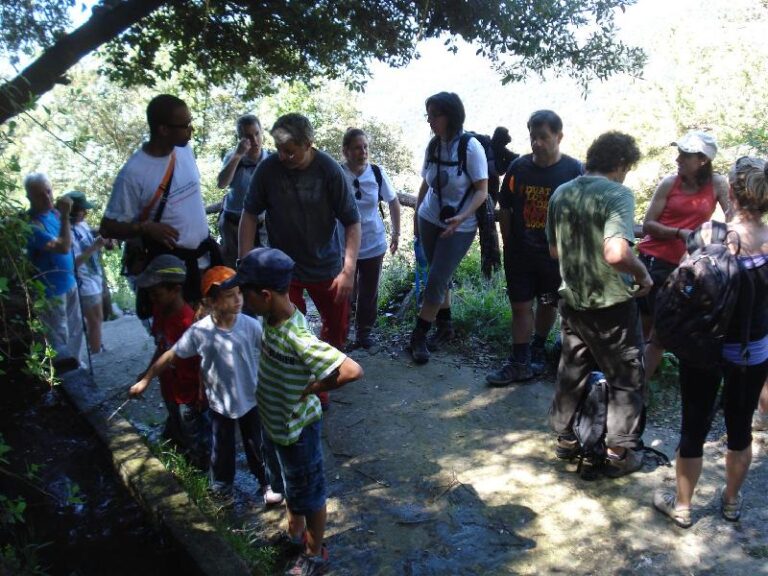 parada a la font de rocapastora