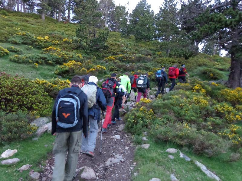 Flama del Canigo 2015