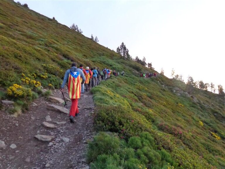 Flama del Canigo 2015