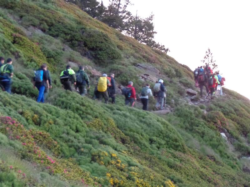 Flama del Canigo 2015