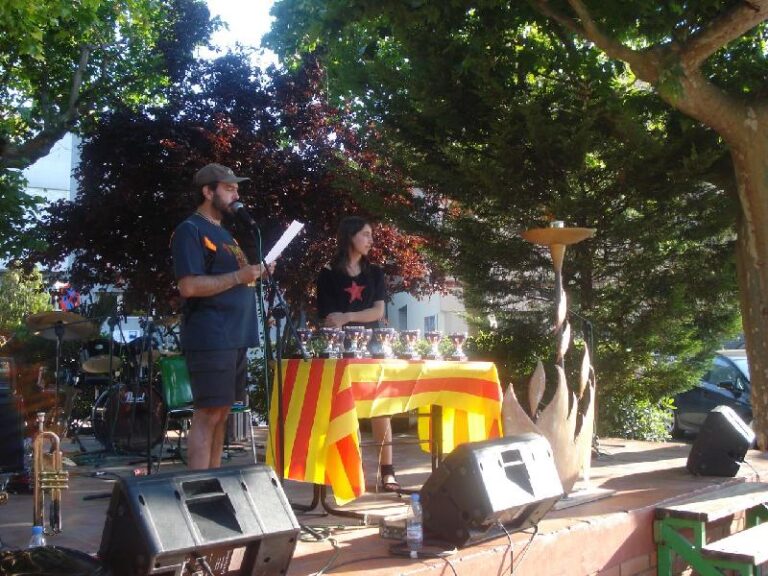 El president del CEA dirigeix l'acte