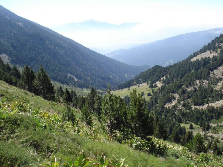 Enrrera queda La Cerdanya