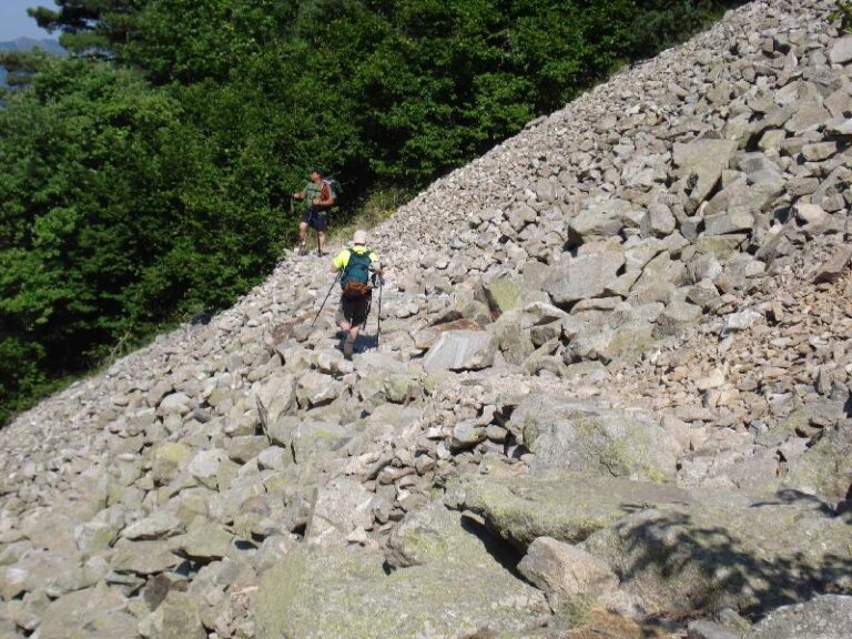 Tartera pel Sola de Ramio