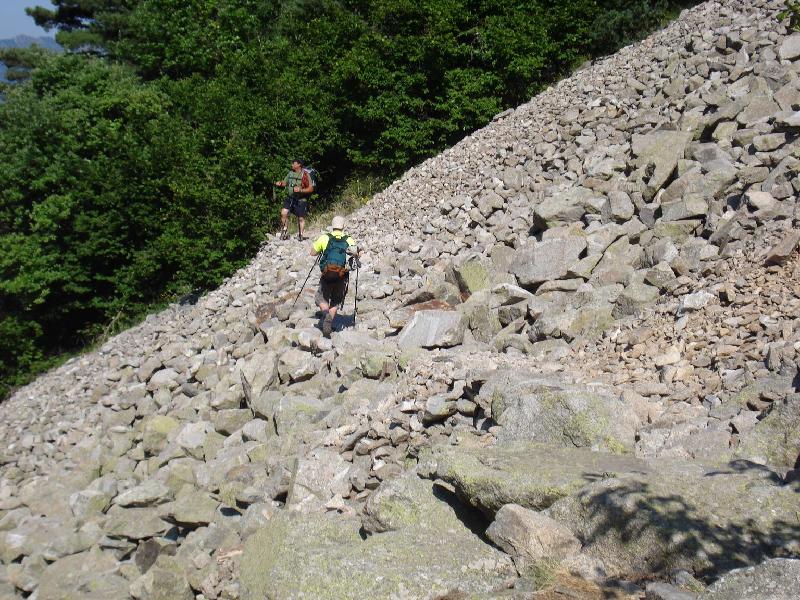 Tartera pel Sola de Ramio