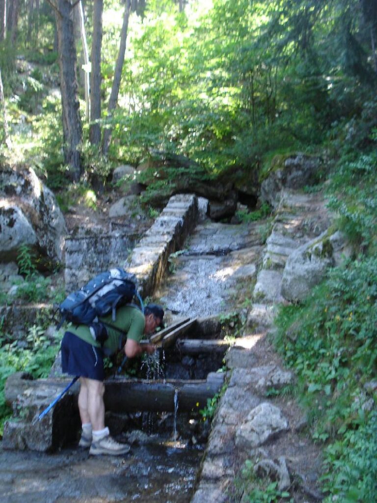 Pel Cami de les Fonts