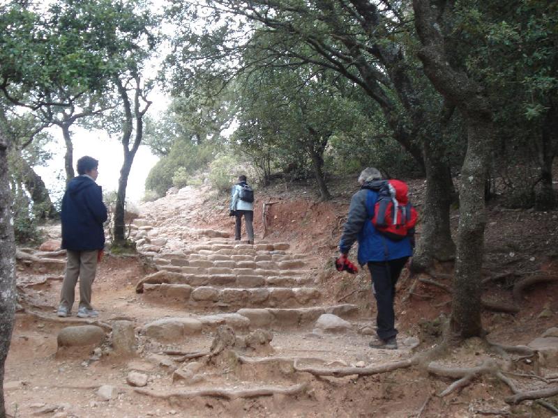 Pel Cami dels Monjos