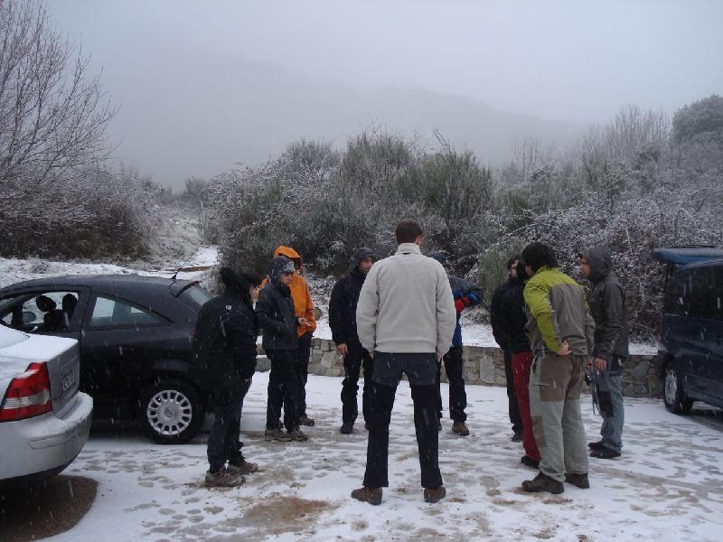 Valorant la situacio