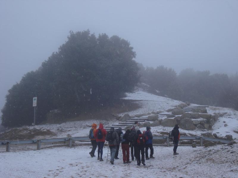 Iniciant el cami al pla de Bordoriol