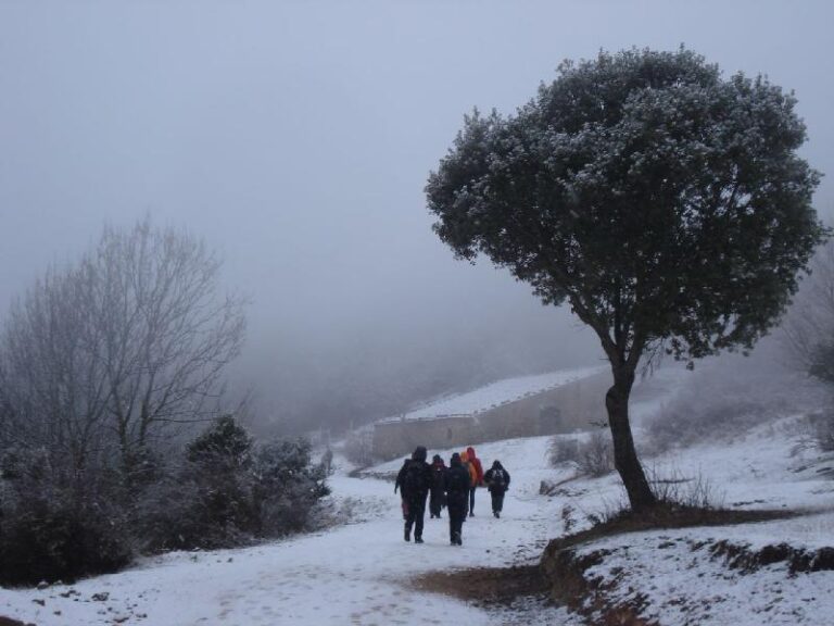 Arribant a la Font dels pastors