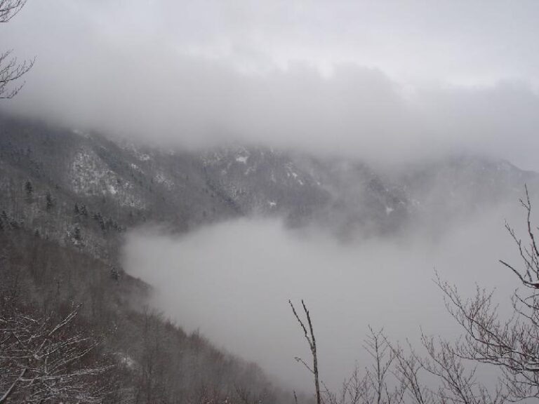 Paissatge hivernal al Montseny