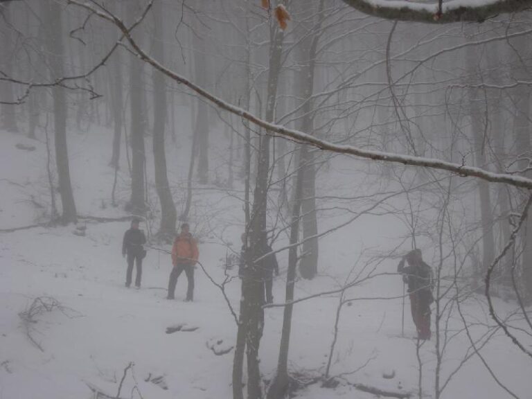 Arribant al Coll Pregon