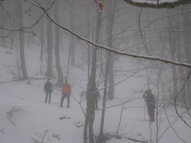 Arribant al Coll Pregon