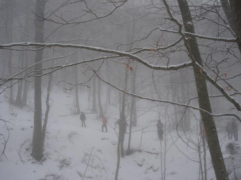 Arribant al Coll Pregon