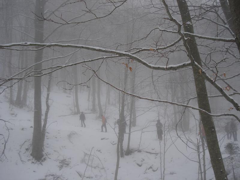 Arribant al Coll Pregon