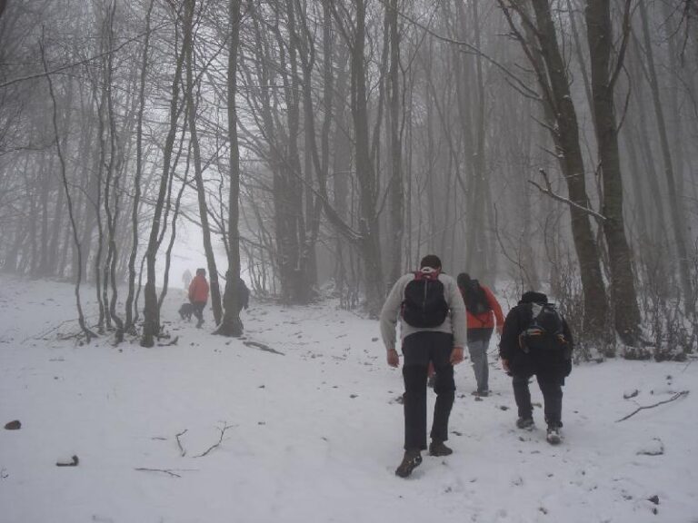 Arribant al Coll Pregon