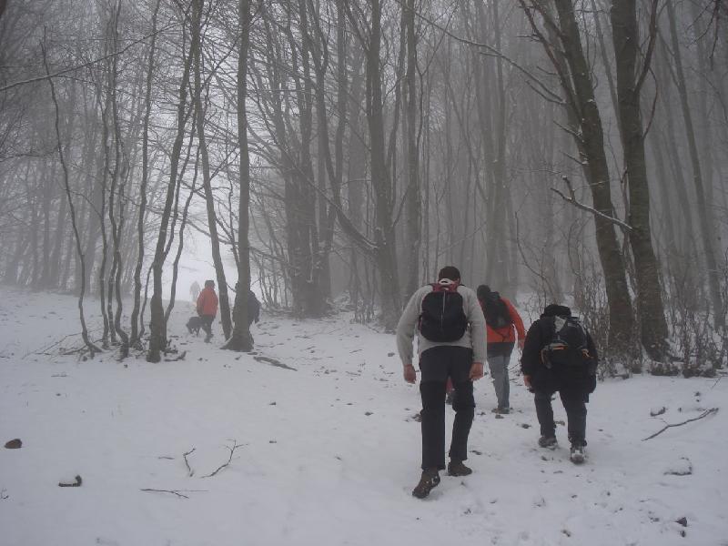 Arribant al Coll Pregon