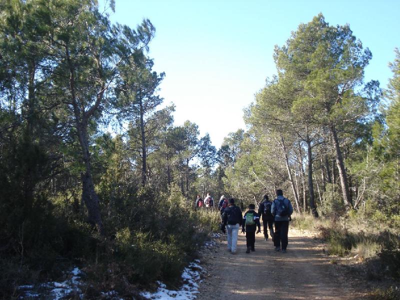 Caminant per la Serra de Ancosa