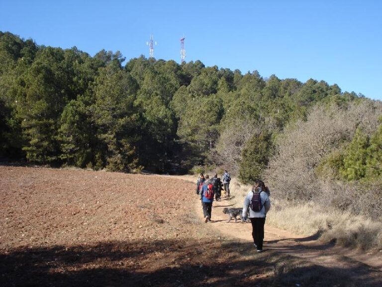 Arribant al cim del Puig Castellar