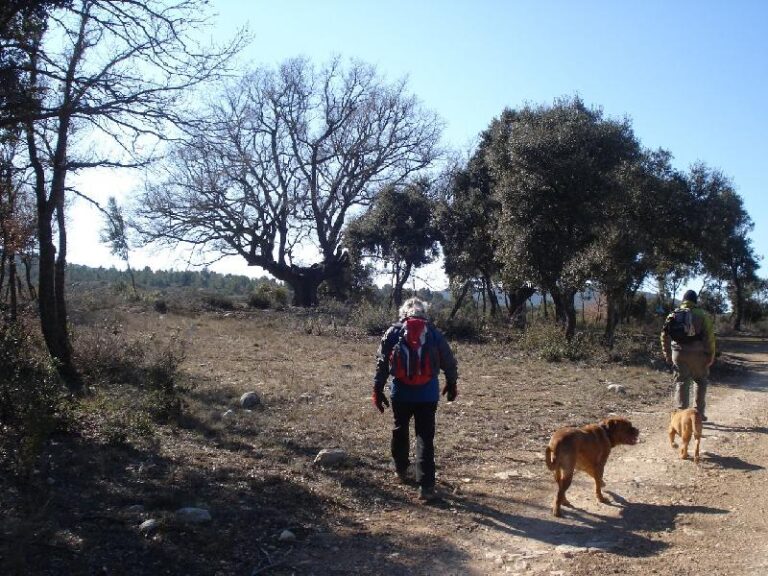 Arribant al Roure Monumental