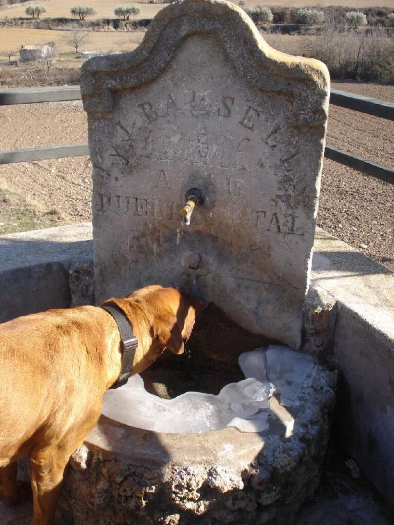 Font a Torrebusqueta