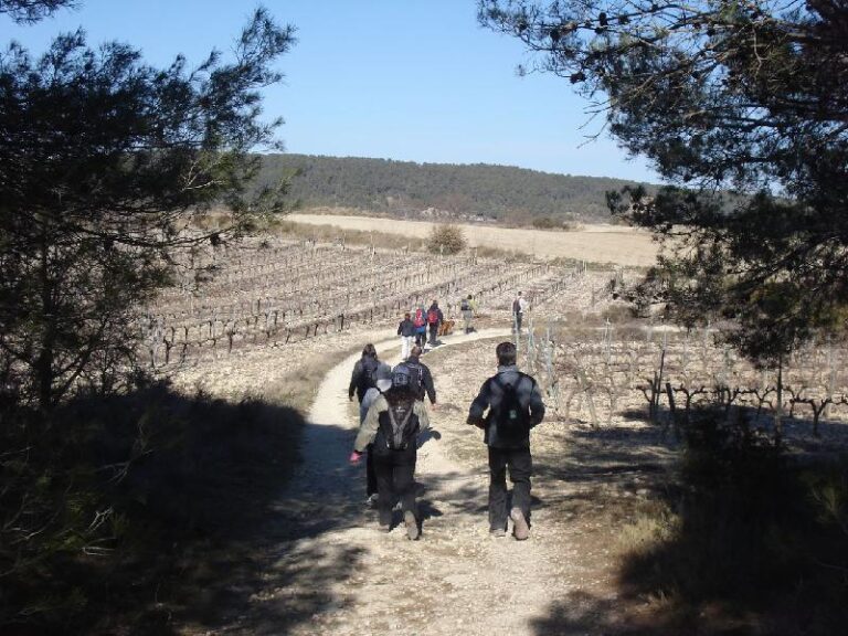 De retorn a La llacuna