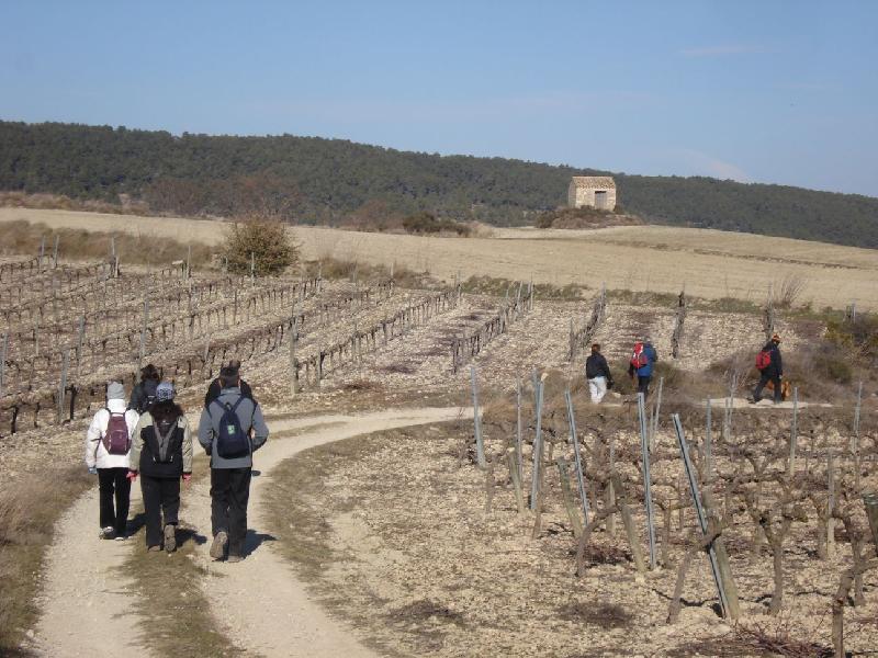 Arribant a La Llacuna