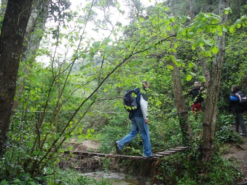 Aproximacio. Primers ponts