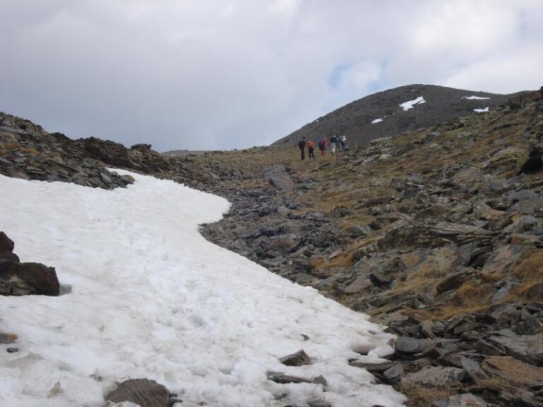 Primeres llengues de neu
