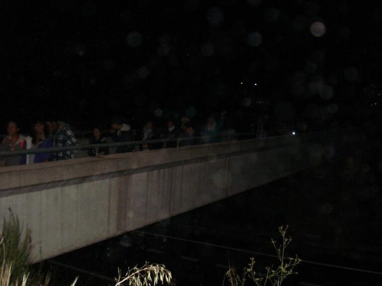 Pont per damunt la carretera 2